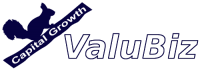 ValuBiz